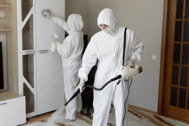 Best Residential Mold Removal  in Caryville, TN