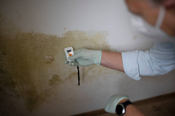 Best Water Damage Restoration  in Caryville, TN