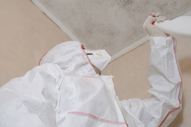 Best Attic Mold Removal  in Caryville, TN